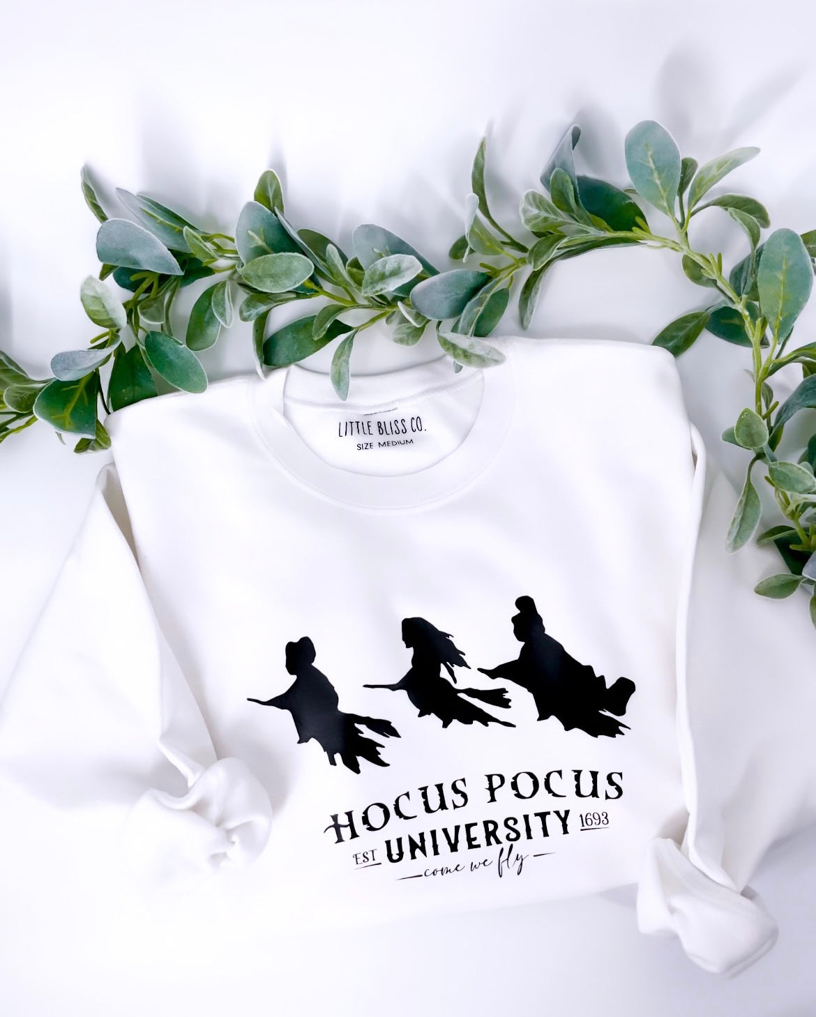 Hocus Pocus crewneck